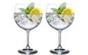 Copas Gin Tonic - Bohemia (6 und)