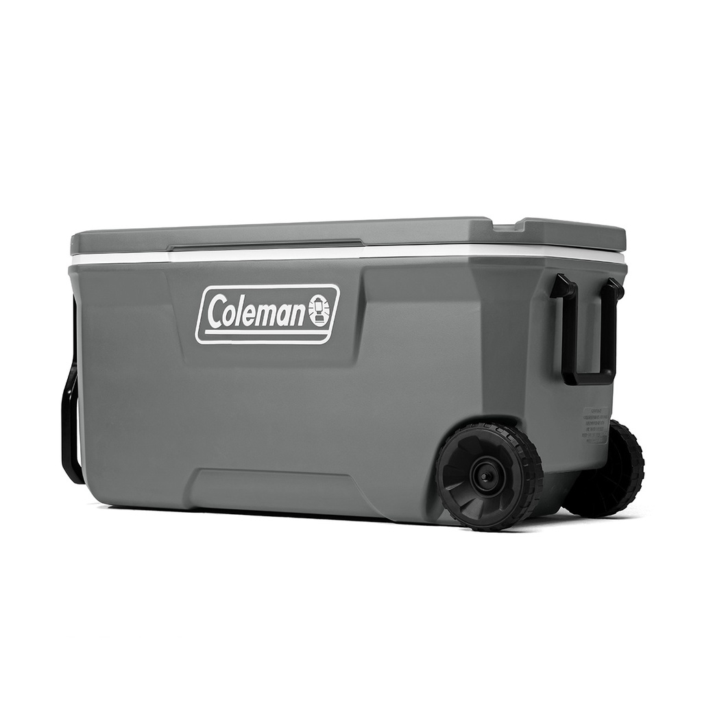 Conservadora 316 Series 100QT Rock Gray - Coleman