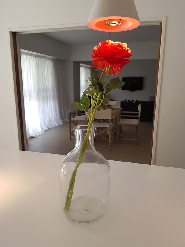 Botellon Transparente - Vidrio