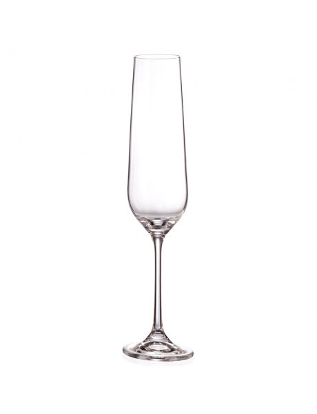 Copa Champagne Tori - Bohemia (6 und)