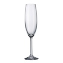[5230] Copas Champagne Gastro - Bohemia (6 und)