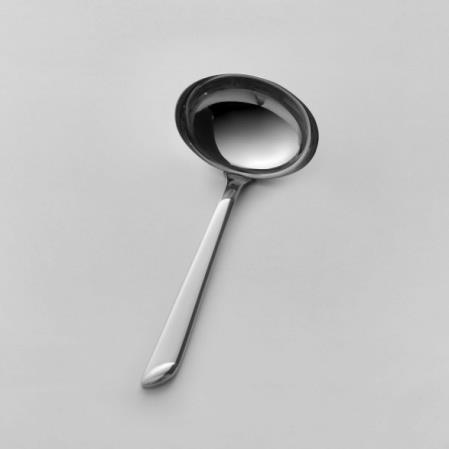 Cuchara Salsa- Pointer