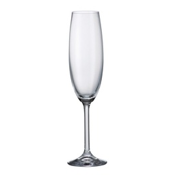 [5230] Copas Champagne Gastro - Bohemia (6 und)