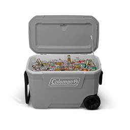 [210103536180] Conservadora Chest 62QT Azul y Gris Claro - Coleman